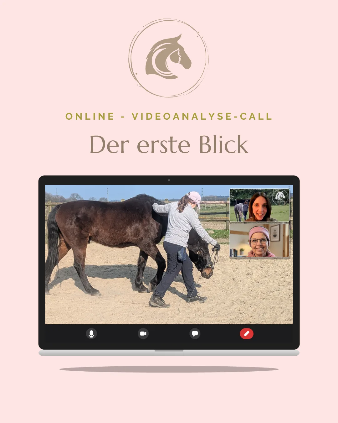 Vorschau des Online-Videoanalyse-Calls „Der erste Blick“ auf dem Laptop